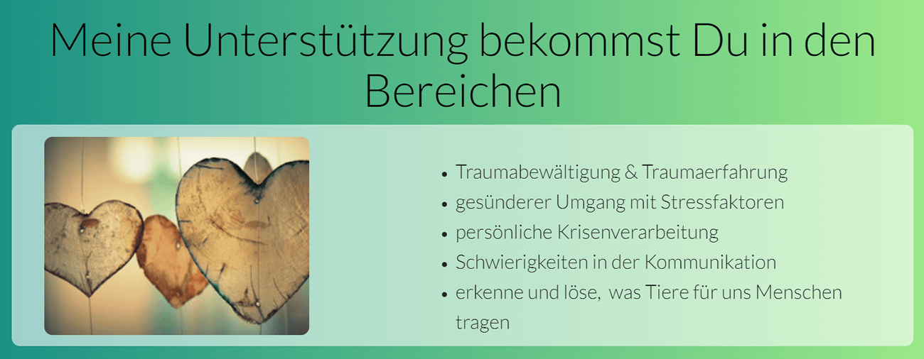 Traumabewaeltigung Traumaerfahrung 